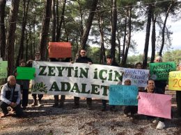 Zeytin savunucuları