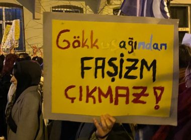 Sağ popülist siyaset ve femonasyonalizm1