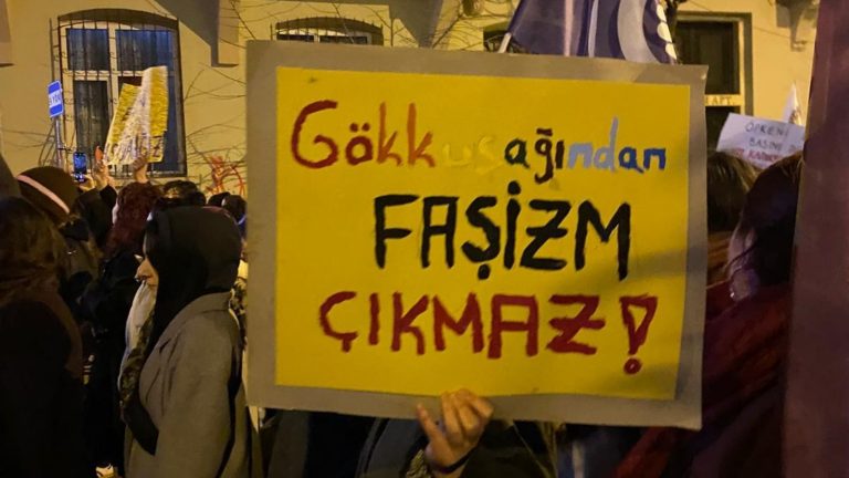 Sağ popülist siyaset ve femonasyonalizm1